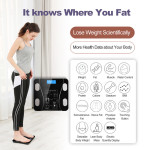 Multi-Functional Home Use Intelligent Body Fat Scale BT Electronic Weight Scale